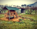 Attrezzature per bovini: portaballoni e ricovero coibentato